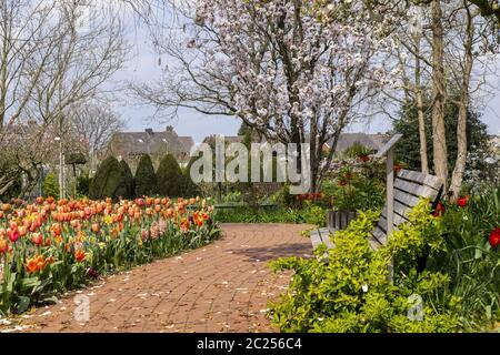 Primavera nel Kreislehrgarten Foto Stock