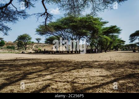 OMO VALLEY, ETIOPIA - AGOSTO 07 2018: La cerimonia del salto di tori da parte dei membri non identificati della tribù Hamer Foto Stock