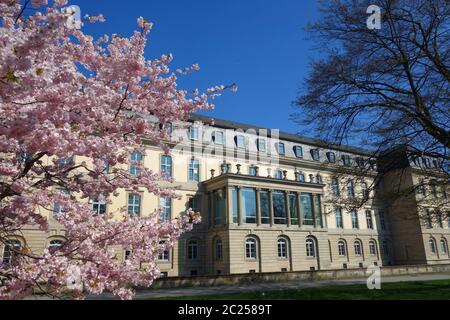 Leineschloss ad Hannover Foto Stock