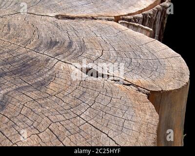 primo piano di un ceppo di alberi con superficie di legno marrone ruvida con segni di scorch più scuri e crepe dopo gli anelli di crescita Foto Stock