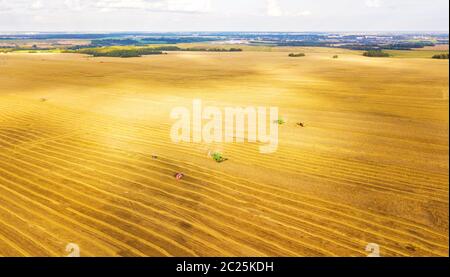 Macchina trebbiatrice lavora nel campo . Macchina mietitrebbiatrice agricoltura raccolta macchina golden mature campo di grano. L'agricoltura. Vista aerea dal di sopra. Foto Stock