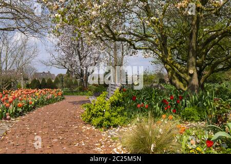 Primavera nel Kreislehrgarten Foto Stock