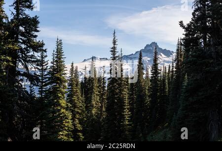 Guardando attraverso una foresta verso Little Tahoma dal sentiero Burroughs Mountain, Mount Rainier National Park, Washington, USA. Foto Stock