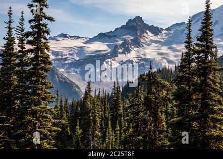 Guardando attraverso una foresta verso Little Tahoma dal Burroughs Mountain Trail, Mount Rainier National Park, Washington, USA. Foto Stock