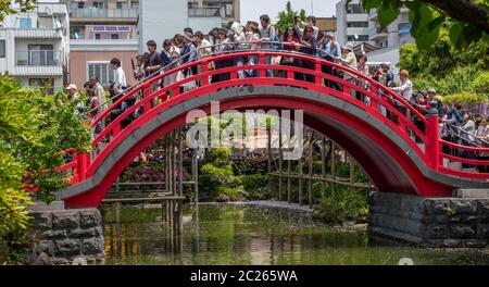 Locali e turisti al Festival di Wisteria del Santuario di Kameido Tenjin. Foto Stock