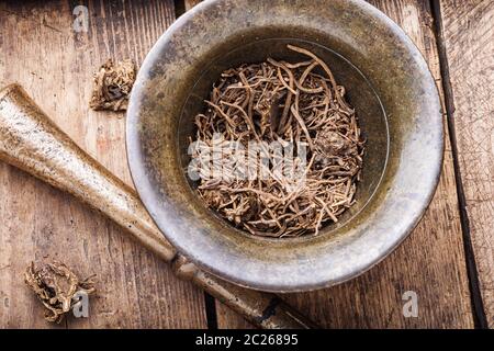 Essiccata la valeriana Radici nel vecchio mortaio in bronzo.Valeriana radice per uso medico Foto Stock