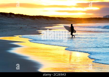 Silhouette surfer spiaggia tramonto Portogallo Foto Stock