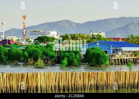 Protezione onda recinzione fatta dal secco bamboo presso la foresta di mangrovie in mare per evitare fenomeni di erosione costiera. Villaggio di Pescatori nella foresta di mangrovie di fronte al m Foto Stock
