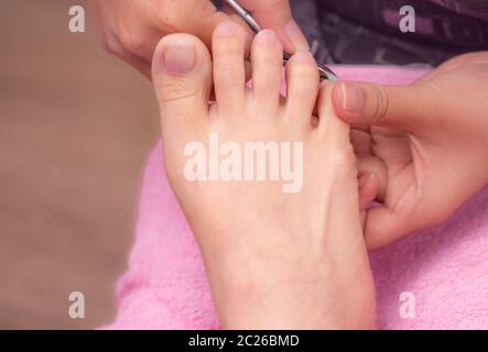 Donna ricevere toenail pedicure dal servizio professionale a pedicurist manicure. Estetista usare clipper la pulizia ed il taglio di cuticole ed unghie sp Foto Stock