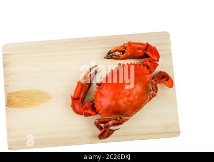 Vista dall'alto di Scilla serrata. Un granchio cotto a vapore su un tagliere di legno isolato su sfondo bianco con spazio per la copia. Concetto di ristoranti di pesce. Foto Stock