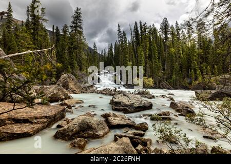 Punto d'incontro del fiume Yoho e del fiume Kicking Horse Foto Stock