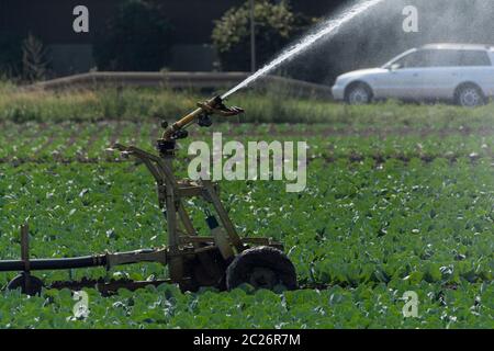 Irrigazione su un campo Foto Stock