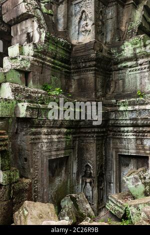 Tempio di TA Prohm, con macerie, antico tempio Khmer, Angkor Parco Archeologico, Siem Reap, Cambogia, Sud-est asiatico, Asia Foto Stock