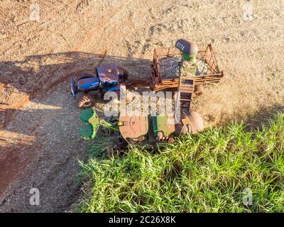 Campo aereo di canna da zucchero in Brasile. Trattore in funzione, agroalimentare . Foto Stock