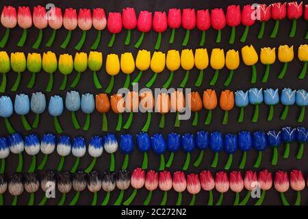 Selezione di coloratissimi tulip multicolore a forma di fiore magneti per il frigo a retail display di souvenir in Amsterdam, Paesi Bassi Foto Stock