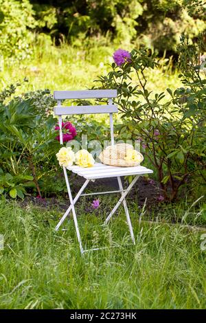 sedia in legno bianco con cappello di paglia e rose gialle Foto Stock