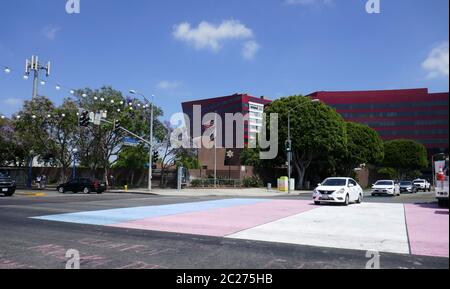 Los Angeles, California, USA 16 giugno 2020 UNA visione generale dell'atmosfera dei colori della bandiera del trasporto dipinta in via su Santa Monica Blvd durante Coronavirus Covid-19 Pandemic il 16 giugno 2020 a Los Angeles, California, USA. Foto di Barry King/Alamy Stock foto Foto Stock