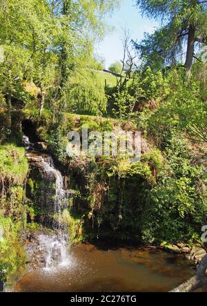 buca di lumb cade una cascata nel bosco a cimsworth dean vicino al pozzo di pecket in calderdale west yorkshire Foto Stock