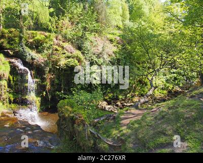 buca di lumb cade una cascata nel bosco a cimsworth dean vicino al pozzo di pecket in calderdale west yorkshire Foto Stock
