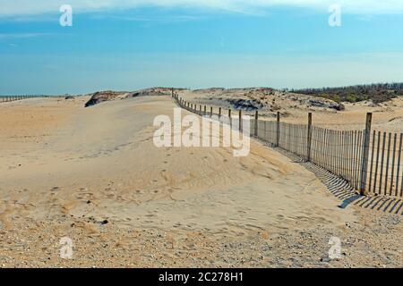 Beach Dunes accroaching sulla Sand Fence sulla costa nazionale dell'isola di Assateague nel Maryland Foto Stock