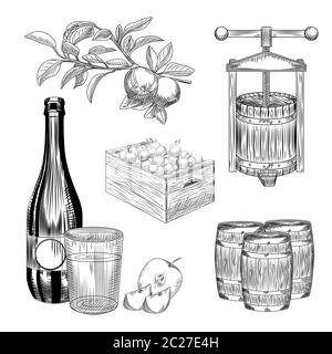 Set di sidro di mele. Raccogliere mela, cassa di legno, pressa, barile, vetro e bottiglia di sidro. Collezione di birra artigianale alla frutta. Incisione in stile vintage. Vettore i Illustrazione Vettoriale