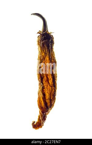 Retroilluminato con peperoncino rosso secco isolati su sfondo bianco. Foto Stock
