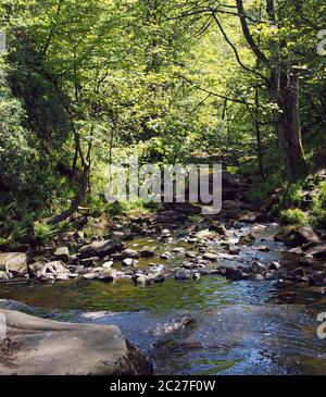 una vista del fiume e valle al buco di lumb cade in bosco a crimsworth decan vicino al pozzo di pecket in calderdale yorkshire occidentale Foto Stock