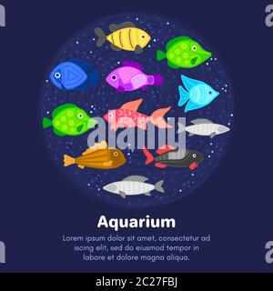 Vettore colorato cartoon pesce in forma circolare. Mondo sottomarino. Acquario. Vita marina carina. Pesci. Brochure, volantino, etichetta, copertina, poster, banner, pac Foto Stock