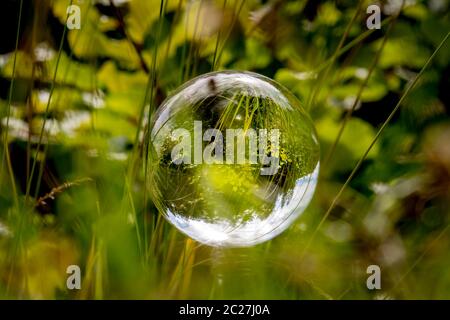 Palla di vetro galleggianti tra i fili di erba in mirroring con alberi e nuvoloso cielo blu Foto Stock