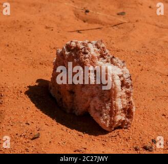 Cristallo di sale nel lago secco Saline Demi, Fada, Ennedi, Ciad Foto Stock