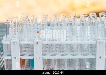 Il laboratorio di ricerca di scienza di oggetti in vetro aggiunta goccia a uno di diversi tubi di prova. Un esperimento scientifico in una scienza laboratorio di ricerca. Foto Stock