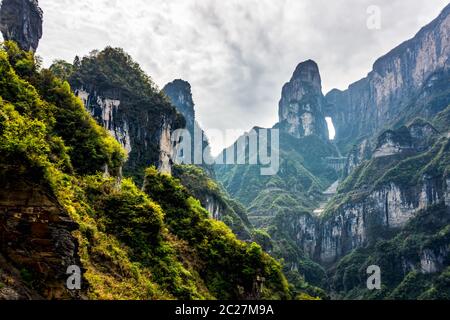 Cespugli di verde sul lato montagna con Haven cancello in Tianman montagne in distanza, Zhangjiajie, Sito Patrimonio Mondiale dell'UNESCO. Hunan, Cina Foto Stock
