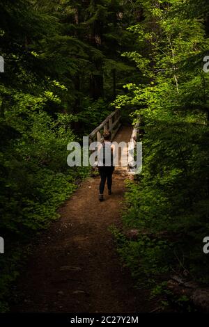 Una donna solista che si avvicina a un ponte pedonale sul Clear Lake Loop Trail circondato da verde fogliame. Foto Stock