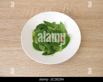 Foglie di goji fresche sul piatto Foto Stock