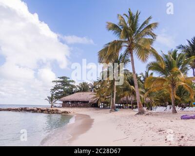 Mar dei Caraibi - Repubblica Dominicana - sull'Isla Saona - Catuano al Playa Bonita Foto Stock