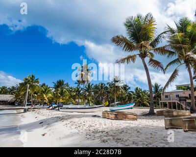 Mar dei Caraibi - Repubblica Dominicana - sull'Isla Saona - Catuano al Playa Bonita Foto Stock