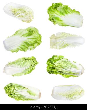 Vari capi e foglie di cavoli Napa (cinese Brassica rapa pekinensis, hakusai, baechu) isolato su sfondo bianco Foto Stock