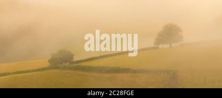 Dawn nella campagna in Borgogna, con nebbia sui campi Foto Stock