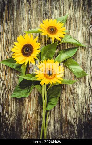 Autunno sfondo con un bouquet di girasoli giallo su vintage textured tavolo in legno. Vista superiore, piatto laici. Foto Stock