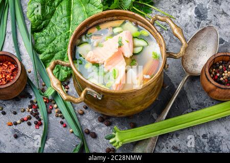 Zuppa fredda con rabarbaro e pesce.Estate zuppa fredda.la zuppa di salmone Foto Stock