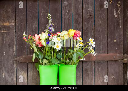 Stivali in gomma con fiori bellissimi in giardino Foto Stock