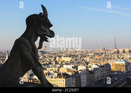 Vista dalle torri della cattedrale di Notre Dame a Parigi, Francia Foto Stock