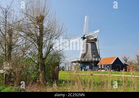 Mulino 'De Hoop' (1865 / 2012), Â´t Zand, distretto Schagen, Provincia Nord Olanda, Paesi Bassi Foto Stock