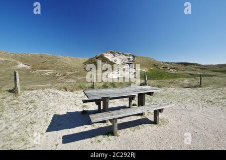 Nelle dune di Julianadorp aan Zee, distretto Den Helder, provincia Olanda, Paesi Bassi, Europa occidentale Foto Stock