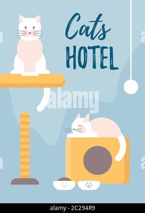 Hotel per animali domestici pieni di gatti. Concetto per negozio di animali. Illustrazione Vettoriale