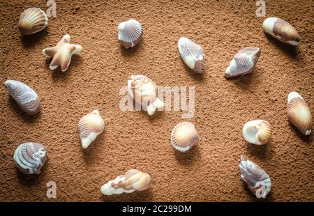 Caramelle di cioccolato di lusso sotto forma di frutti di mare Foto Stock