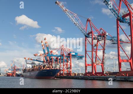 Terminal dell'Eurogate nel porto di Amburgo Foto Stock