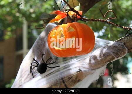 Le pumpkins e le reti dei ragni decorano un albero fuori da un’attività commerciale a Harley Street, Alessandria nel sud di Sydney. Foto Stock