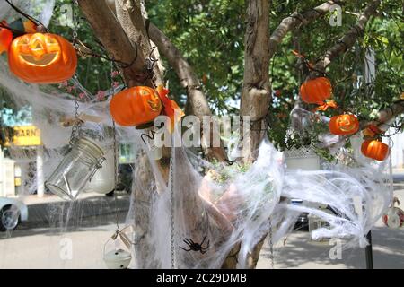 Le pumpkins e le reti dei ragni decorano un albero fuori da un’attività commerciale a Harley Street, Alessandria nel sud di Sydney. Foto Stock