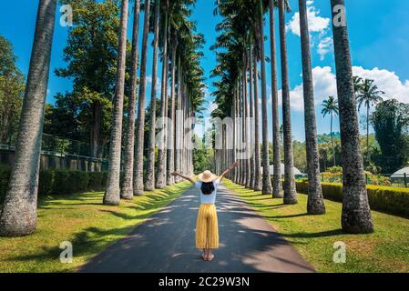 Donna che esplora il vicolo delle palme ai Giardini Botanici reali di Kandy Sri Lanka. Paesaggio tropicale asiatico viaggio scenario Foto Stock